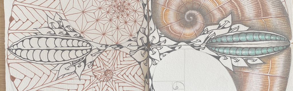 The Creative Process… Journey