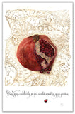 Zentangle Pomegranate Postcard